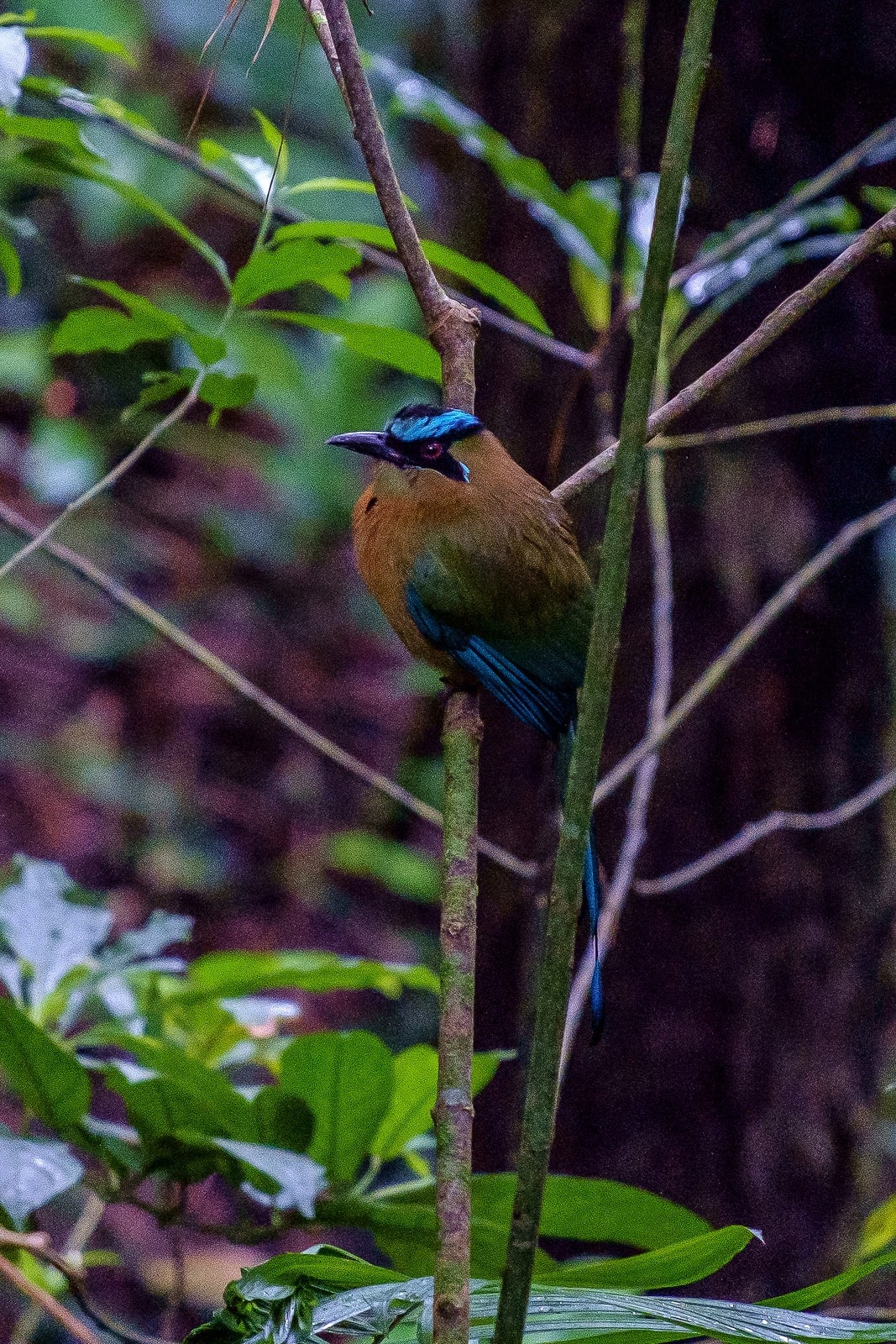 Jinotega, Nicaragua