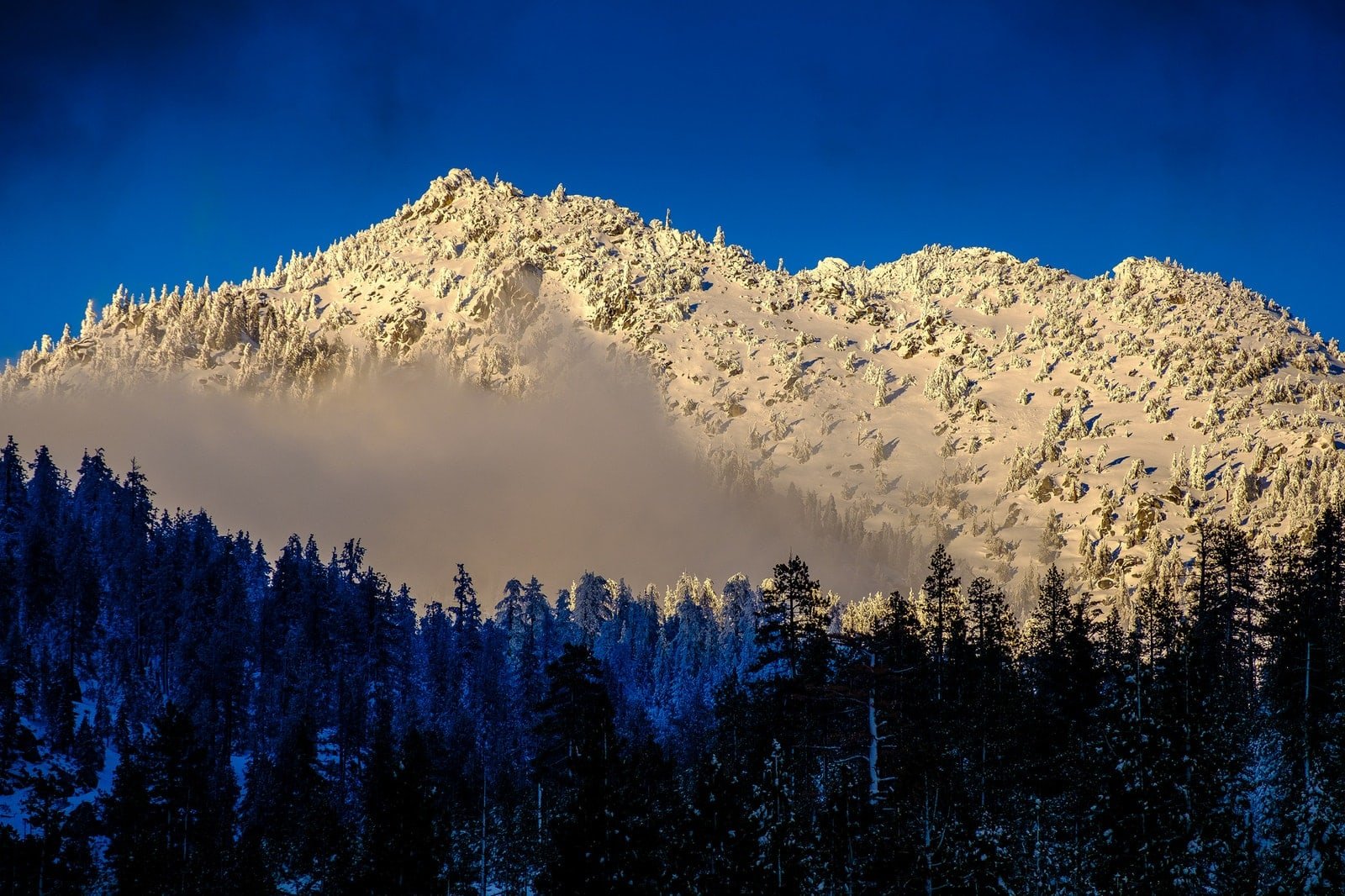 DSCF2720.jpg